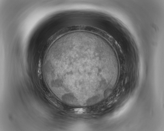 X0000114670050200911121341