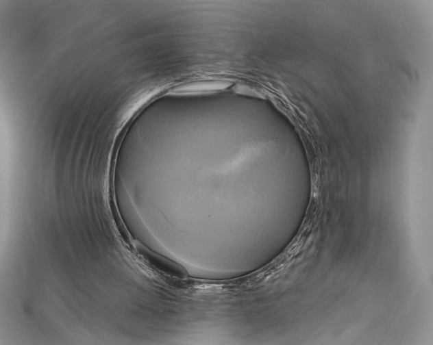 X0000114670052200911121341