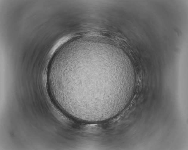 X0000114670054200911121341