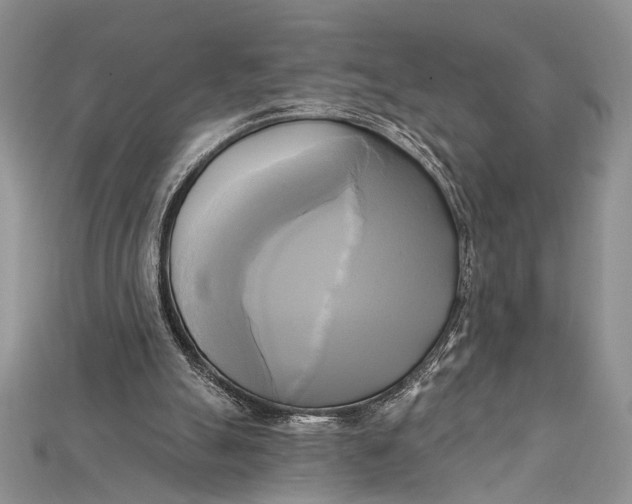 X0000114670055200911121341