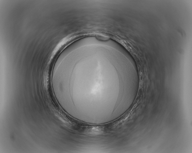 X0000114670056200911121341