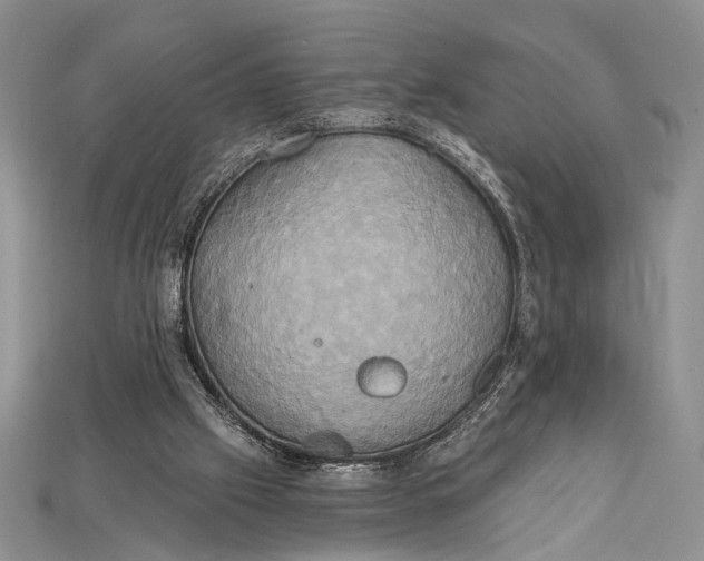 X0000114670057200911121341