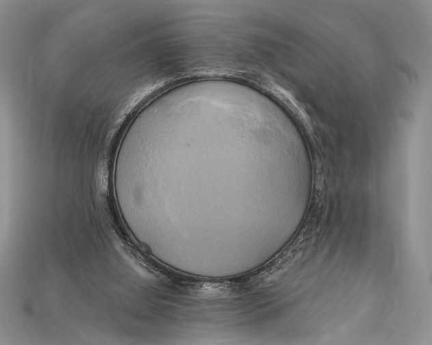 X0000114670060200911121341