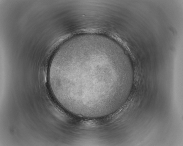 X0000114670062200911121341