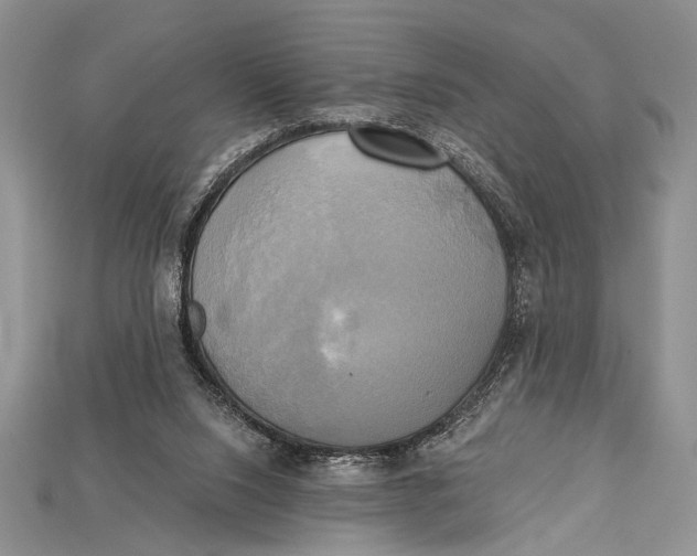 X0000114670064200911121341