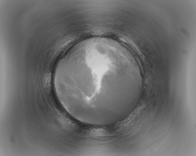 X0000114670066200911121341