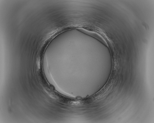 X0000114670068200911121341