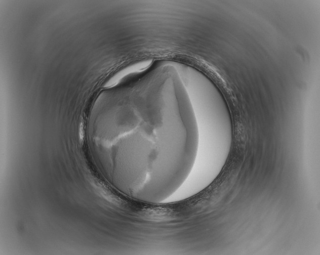 X0000114670069200911121341