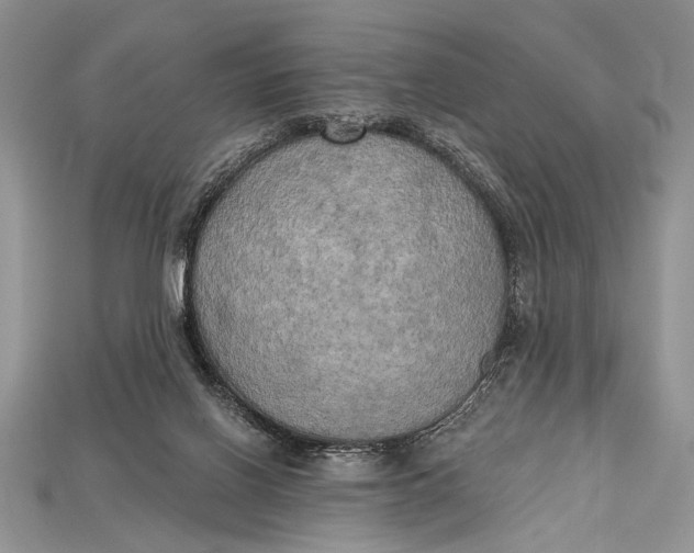 X0000114670070200911121341