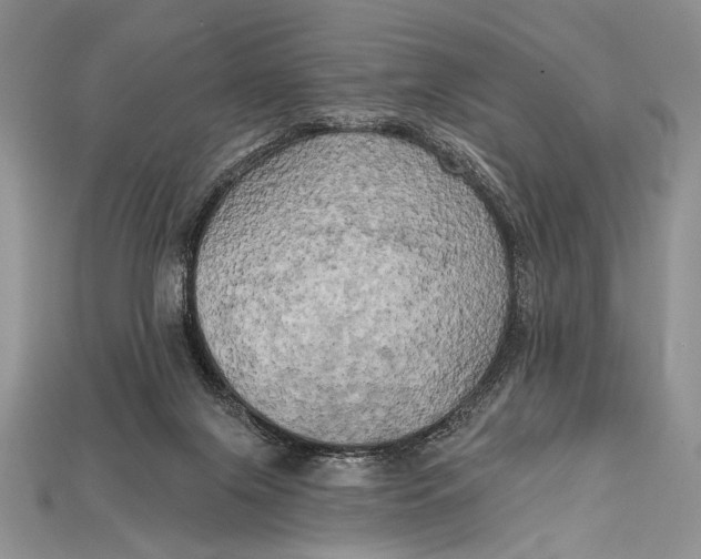 X0000114670071200911121341