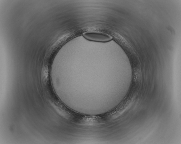 X0000114670072200911121341