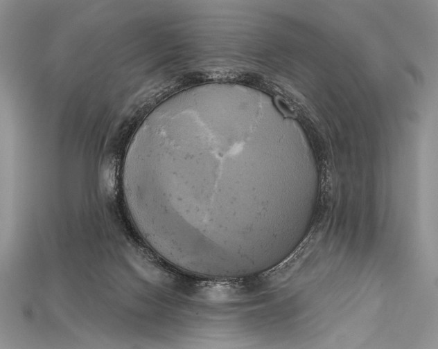 X0000114670074200911121341