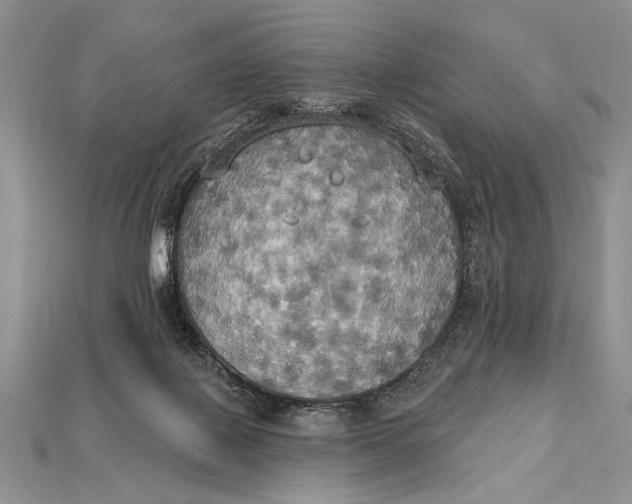 X0000114670075200911121341