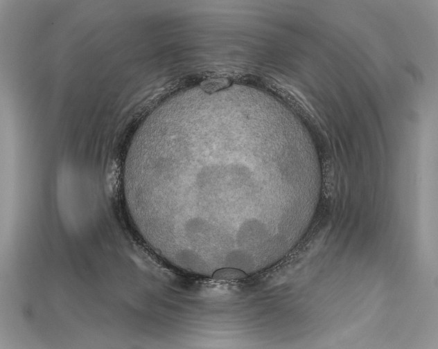 X0000114670077200911121341