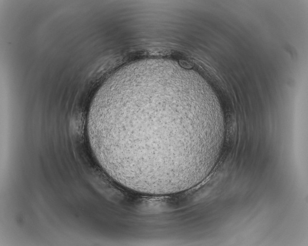 X0000114670078200911121341