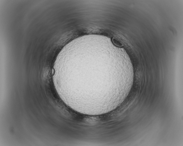 X0000114670079200911121341