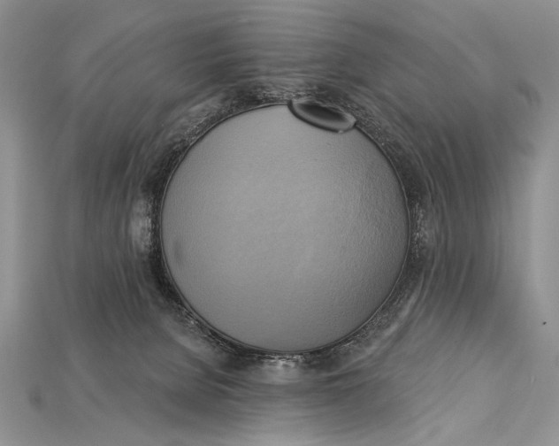 X0000114670080200911121341