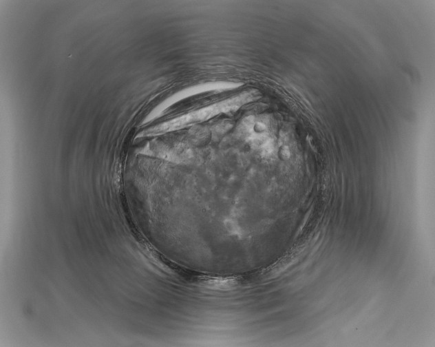 X0000114670081200911121341