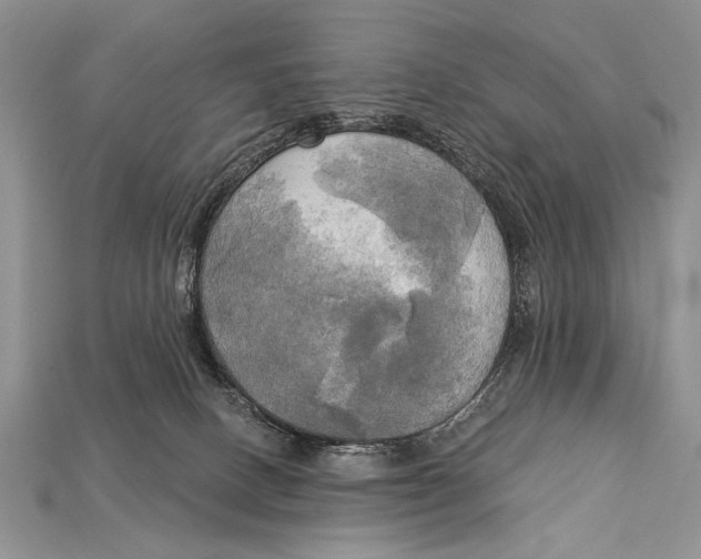 X0000114670082200911121341