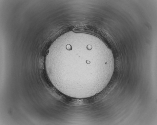 X0000114670083200911121341