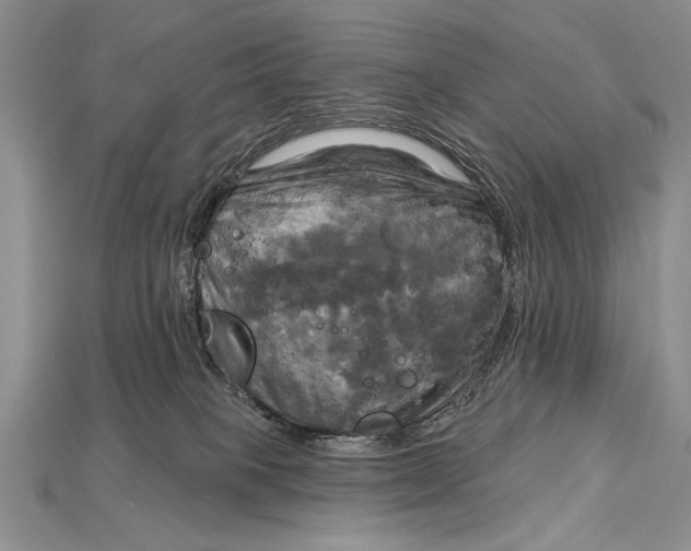 X0000114670085200911121341