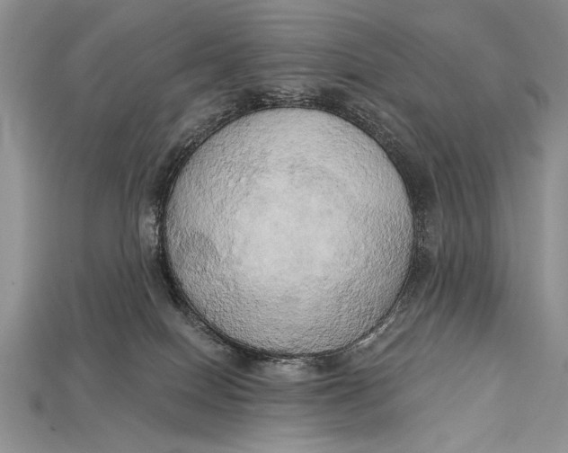 X0000114670086200911121341