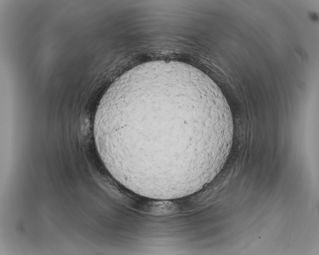 X0000114670087200911121341