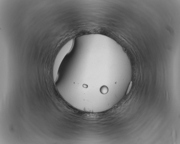 X0000114670088200911121341