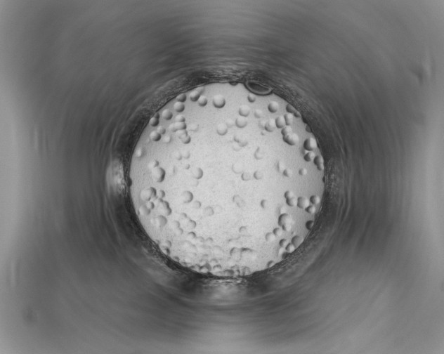 X0000114670089200911121341