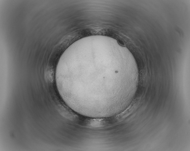 X0000114670090200911121341