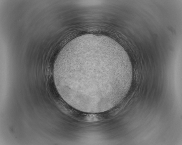 X0000114670091200911121341