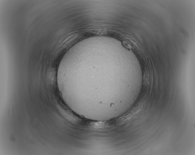 X0000114670092200911121341