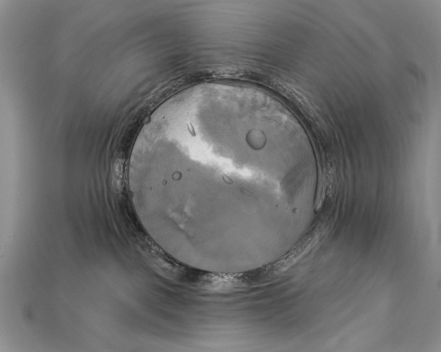 X0000114670093200911121341