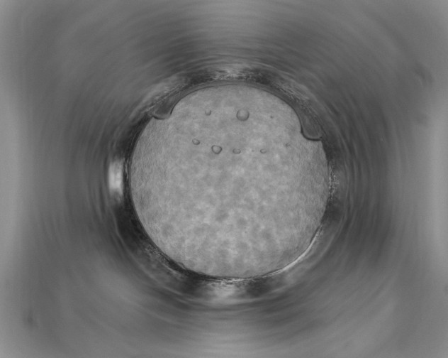 X0000114670094200911121341