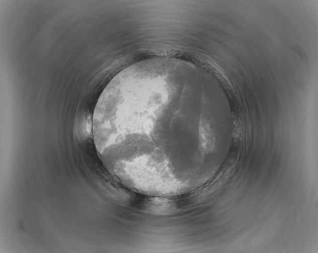 X0000114670095200911121341