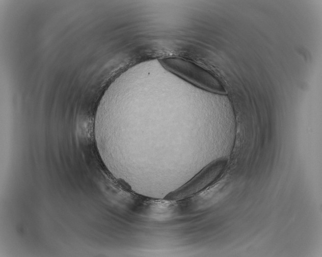 X0000114670096200911121341