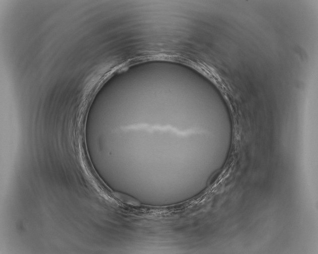 X0000114670097200911121341