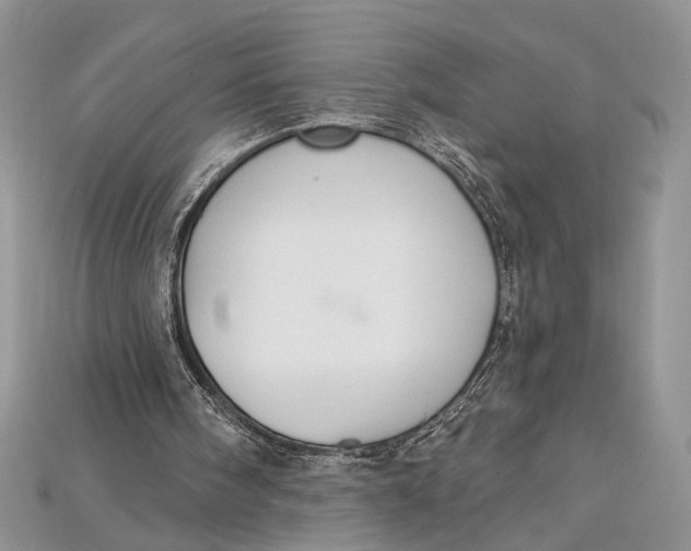 X0000114670098200911121341