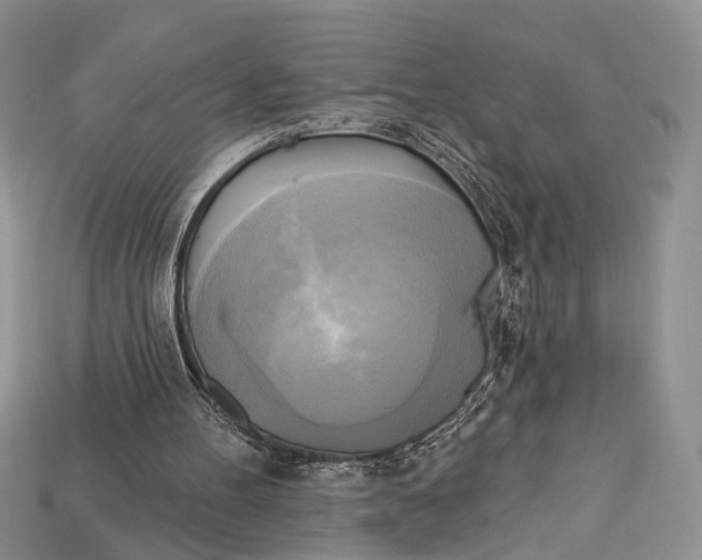 X0000114670100200911121341