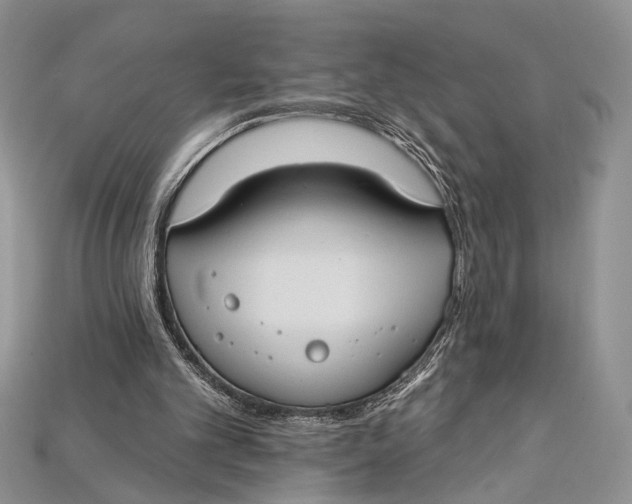 X0000114670101200911121341