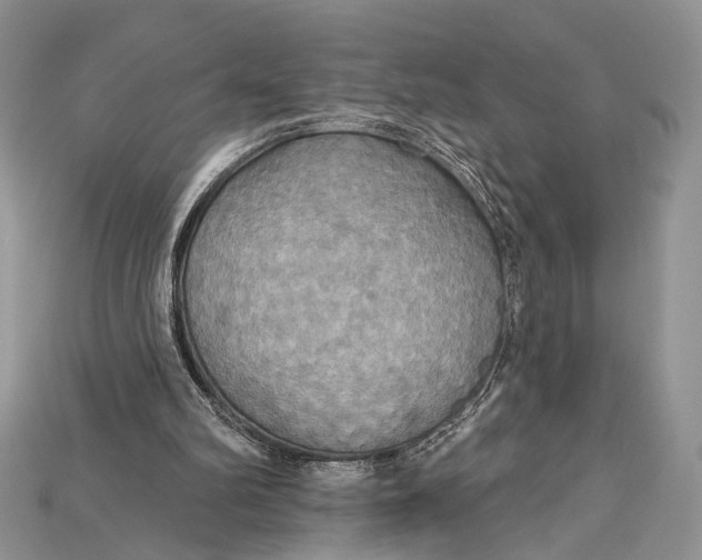 X0000114670102200911121341