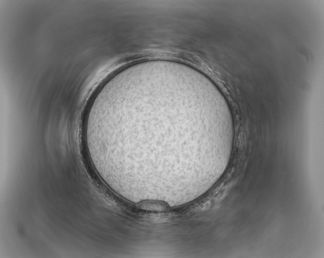 X0000114670103200911121341