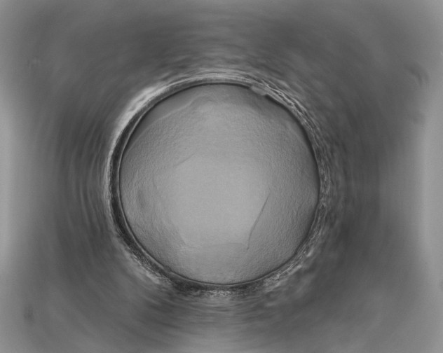 X0000114670104200911121341