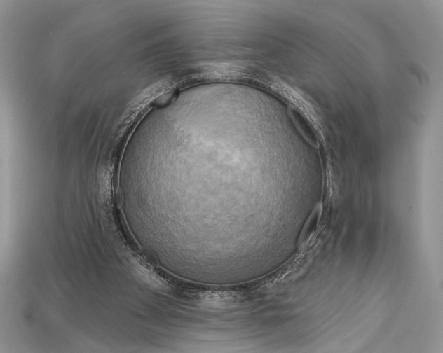 X0000114670105200911121341