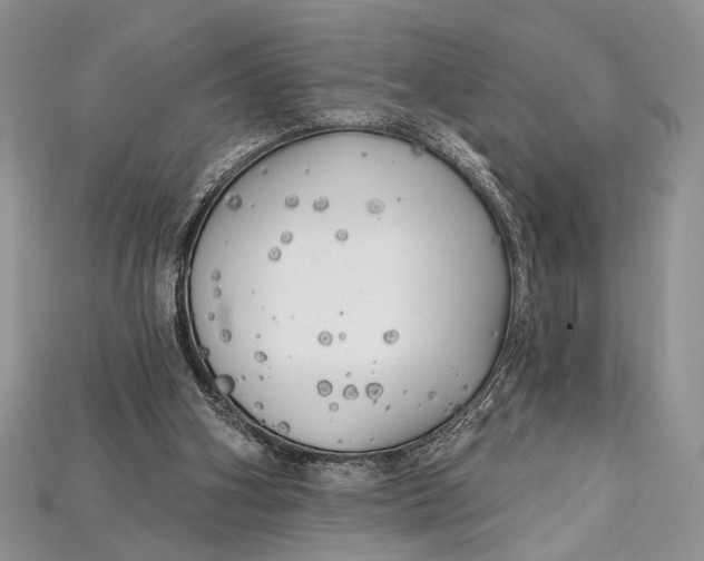 X0000114670106200911121341