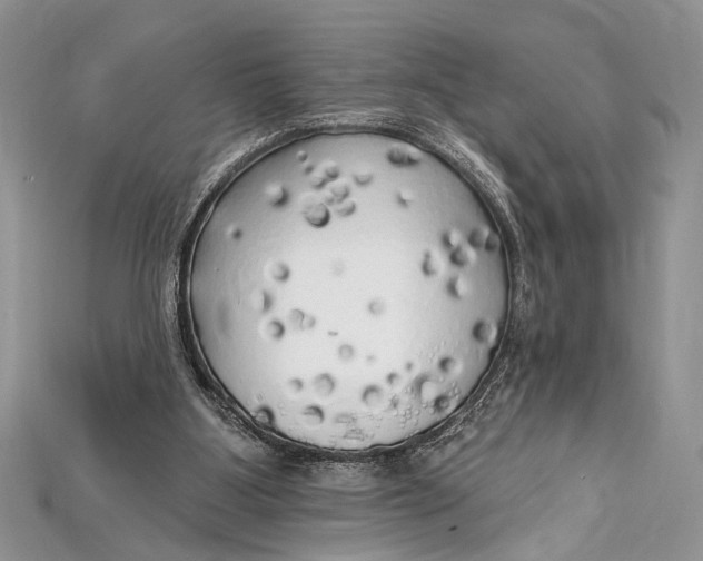 X0000114670107200911121341