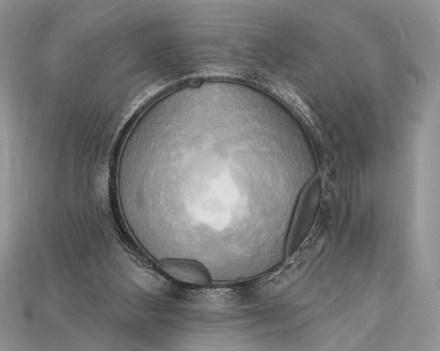 X0000114670108200911121341