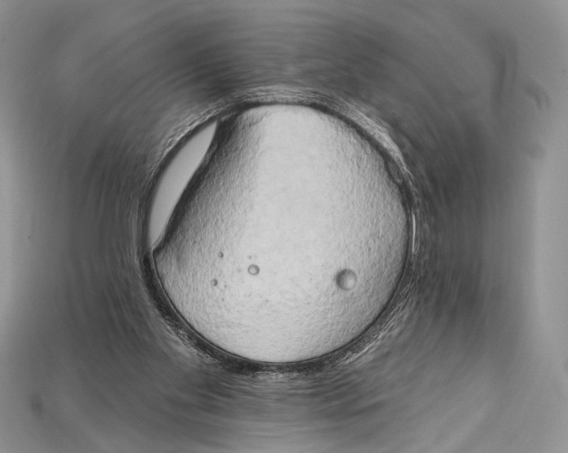 X0000114670109200911121341