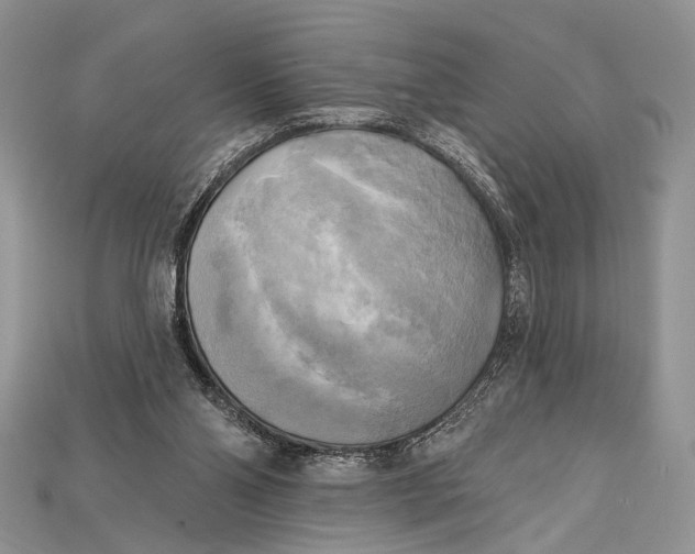 X0000114670110200911121341