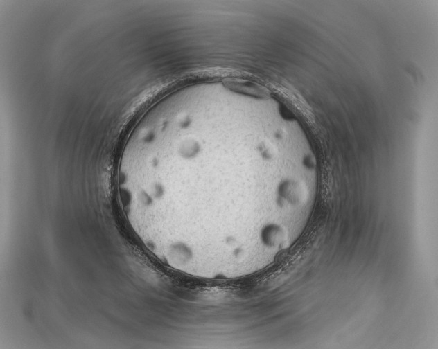 X0000114670111200911121341